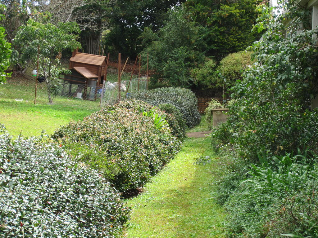 Eden Lodge Nambour Exterior foto
